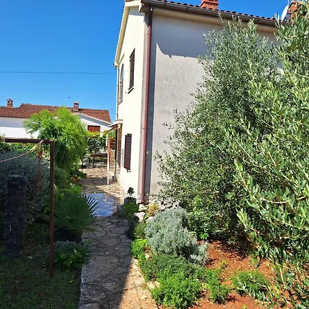 Reinic Lägenhet Novigrad Istria