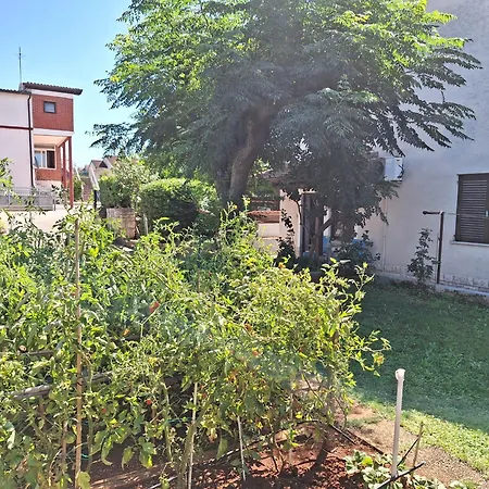 Apartman Reinic