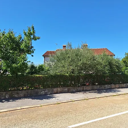 Reinic * Novigrad Istria